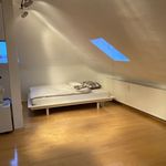 Rent 1 bedroom apartment of 45 m² in Frankfurt
