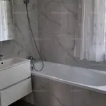 Rent 1 bedroom apartment of 50 m² in Békéscsaba