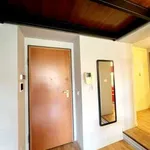 Rent 3 bedroom apartment of 58 m² in Turin