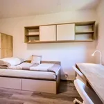 Rent 1 bedroom apartment in Brno