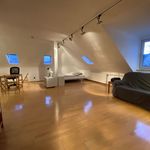 Rent 1 bedroom apartment of 45 m² in Frankfurt