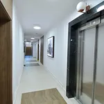 Rent 2 bedroom apartment of 42 m² in Wrocław