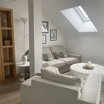 Rent 2 bedroom apartment of 818 m² in Dusseldorf