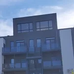 Rent 1 bedroom apartment in Gatineau