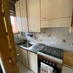 Rent 3 bedroom apartment of 65 m² in Bologna