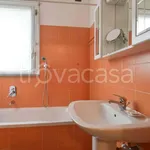 Rent 3 bedroom apartment of 50 m² in Milano