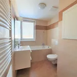 Rent 1 bedroom apartment in Mělník