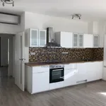 Rent 4 bedroom apartment of 111 m² in Brno