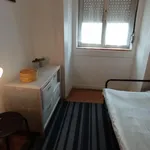 Rent 1 bedroom apartment in Lisbon