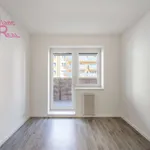 Rent 2 bedroom apartment of 46 m² in Brno