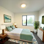 Rent 1 bedroom apartment in dunedin