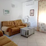 Rent 3 bedroom apartment of 80 m² in Brindisi