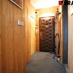 Rent 1 bedroom apartment in Brno