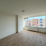 Rent 3 bedroom apartment in The Hague