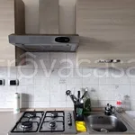 Rent 2 bedroom apartment of 50 m² in Torino