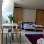 Miete 1 Schlafzimmer wohnung von 60 m² in Freiburg im Breisgau