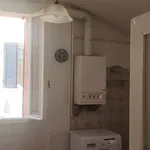 Rent 2 bedroom apartment of 50 m² in Bologna