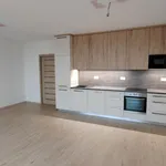 Rent 2 bedroom apartment in Brno