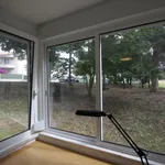 Rent 5 bedroom apartment in Oeiras