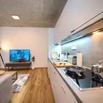 Rent 1 bedroom apartment of 50 m² in Prague