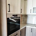 Rent 3 bedroom apartment of 160 m² in Pikermi Municipal Unit