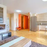 Rent 4 bedroom apartment of 113 m² in Toruń