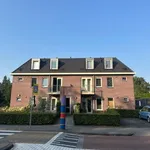 Rent 1 bedroom apartment of 33 m² in arnhem