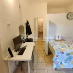 Rent 1 bedroom apartment of 30 m² in Torino