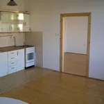 Rent 1 bedroom apartment in Olomouc