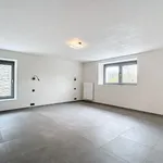 Huur 3 slaapkamer huis van 439 m² in Bastogne