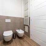 Rent 1 bedroom apartment in Bologna