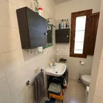 Rent 1 bedroom apartment of 50 m² in Pisa