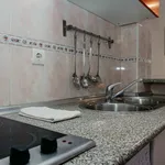 Rent 1 bedroom apartment of 45 m² in Málaga