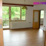 Rent 3 bedroom apartment of 110 m² in České Budějovice