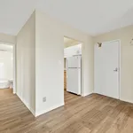  appartement avec 1 chambre(s) en location à Windsor, ON