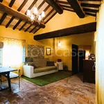 Rent 3 bedroom apartment of 81 m² in Perugia