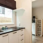 Huur 1 slaapkamer appartement van 377 m² in Rotterdam