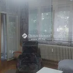 Rent 1 bedroom apartment in Pécs