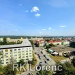 Rent 1 bedroom apartment of 35 m² in Brno