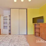 Rent 1 bedroom apartment of 38 m² in Brno