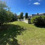 Rent 3 bedroom house in Blenheim