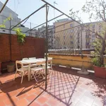 Rent 6 bedroom apartment in Milan