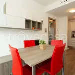 Rent 1 bedroom apartment of 65 m² in Milano