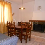 Rent 4 bedroom apartment of 75 m² in Perugia