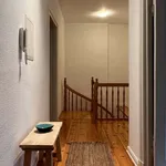 Rent 3 bedroom apartment of 100 m² in berlin