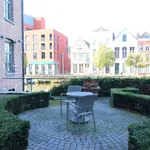 Rent 1 bedroom apartment in Mechelen