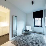 Rent 1 bedroom apartment in Hasselt