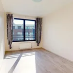 Flat - apartment for rent - Evere    Option