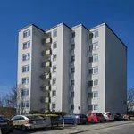 Rent 3 bedroom apartment of 79 m² in Siegen