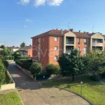 Rent 4 bedroom apartment of 120 m² in Udine